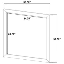 Load image into Gallery viewer, Product image