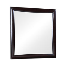 Load image into Gallery viewer, Phoenix Square Dresser Mirror Deep Cappuccino image
