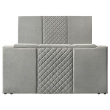 Load image into Gallery viewer, Tara Panel TV Bed
