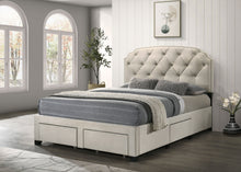 Load image into Gallery viewer, Marianna Panel Platform Storage Bed
