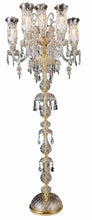 Load image into Gallery viewer, Lighting Garnier 7 Light Floor Lamp in Clear and Gold image

