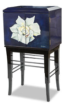 Load image into Gallery viewer, Furniture Illusions 2 Door Cabinet image
