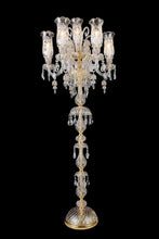 Load image into Gallery viewer, Lighting Garnier 7 Light Floor Lamp in Clear and Gold
