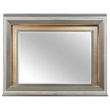 Load image into Gallery viewer, Homelegance Tamsin Mirror in Silver Grey Metallic 1616-6 image

