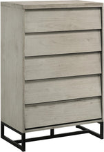 Load image into Gallery viewer, Weston Grey Stone Chest image
